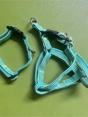 LAST CHANCE❗️(8/23) - Colorful Woven yellow / green - small (1) harness & (2) co